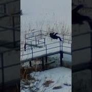 Накуреная Бабка