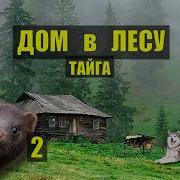 Дом В Лесу Истории Из Жизни Сериал