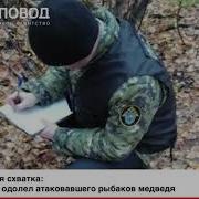 Медведь Боксер