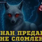 Аудиокнига Борьба За Выживание Том 4