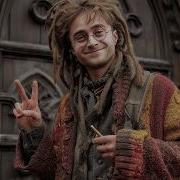 Harry Potter Rasta Wizard