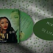 Feli Nandi Izwi Album Mix 2022 Dj Lifah