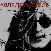 Летов Так Закалялась Сталь