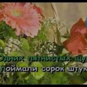 Бескозырка Белая Караоке