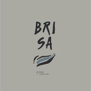 Up And Down Brisa Sons Ideias