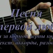 Чайки За Кормой Верны Кораблю