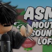 Asmr Roblox