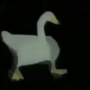 Флексии В Закулисье С Крабами
