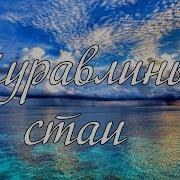 Стаи Журавлиные Вновь Спешат На Юг