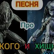 Песня Про Чужого И Хищника