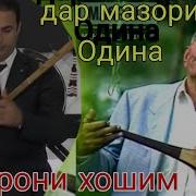 Писари Одина Хошим