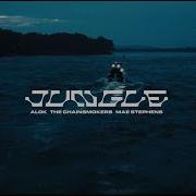 Jungle Alok The Chainsmok