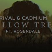 Cadmium Willow Tree