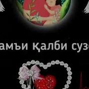 Бехтарин Газал Барои Модарон