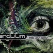 Terminal Pendulum