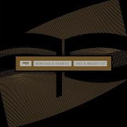 Roni Size Krust Kloaking Device Fracture Remix