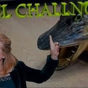 Адель Челлендж Adel Challenge New 2019 Зал Поет Приколы