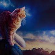 Песня Котов Воителей