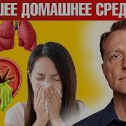 Чево Чево Гармошку Достаем