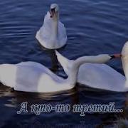 Рябины Лист Колышет Ветер Песня