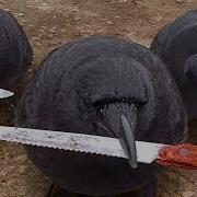 Не Должон