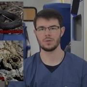 Ядовитая Змея