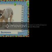 Screenrecorderproject11 Иван Курочкин