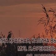 Калина Красная Калина Вызрела Караоке