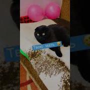 Красотища Какая Тик Ток