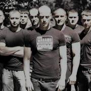 Миша Маваши Стая