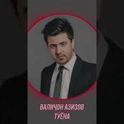 Ана Ира Туёна Меган