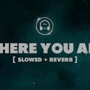 Where Are You By Halal Beats Slowed Reverb Bsra