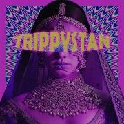 Zoh Trippystan