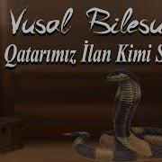 Vusal Bilesuvari Qatarimiz