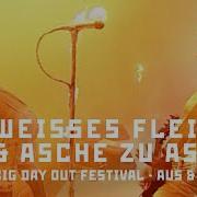 Rammstein Weisses Fleisch Asche Zu Asche