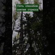Эротика Для Сна