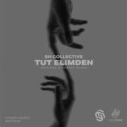 Tut Elimden