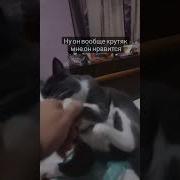 Ну Он Вообще Крутяк Мне Он Нравится