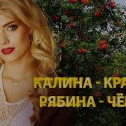 Калина Красная Рябина Чёрная