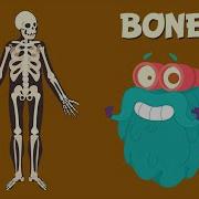 Skeleton Animation