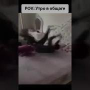 Любит Не Люит Рамашка Скажи