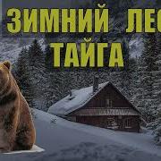 Аудиокниги Про Жизнь В Тайге