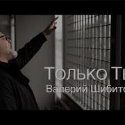 Валерий Шибитов Только Ты
