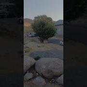 Самарқанд Вилояти Нуробод Тумани