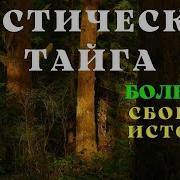 Ужасы Тайги Мистические Страшные Истории Истории Таёжных Охотников Охотничьи Байки