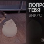 Вирус Попрошу Тебя Speed Up 1 Час