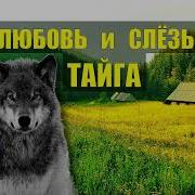 Любовь И Слезы Тайга Серия 12