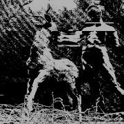 Rorschack D Ayala