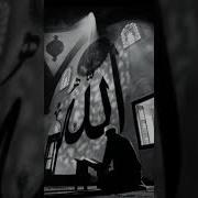 Нашид Терпи Моя Душа