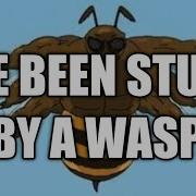 W A S P Remix
